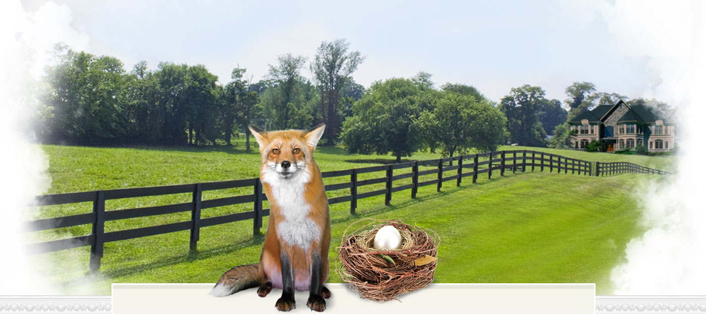 Investment Management